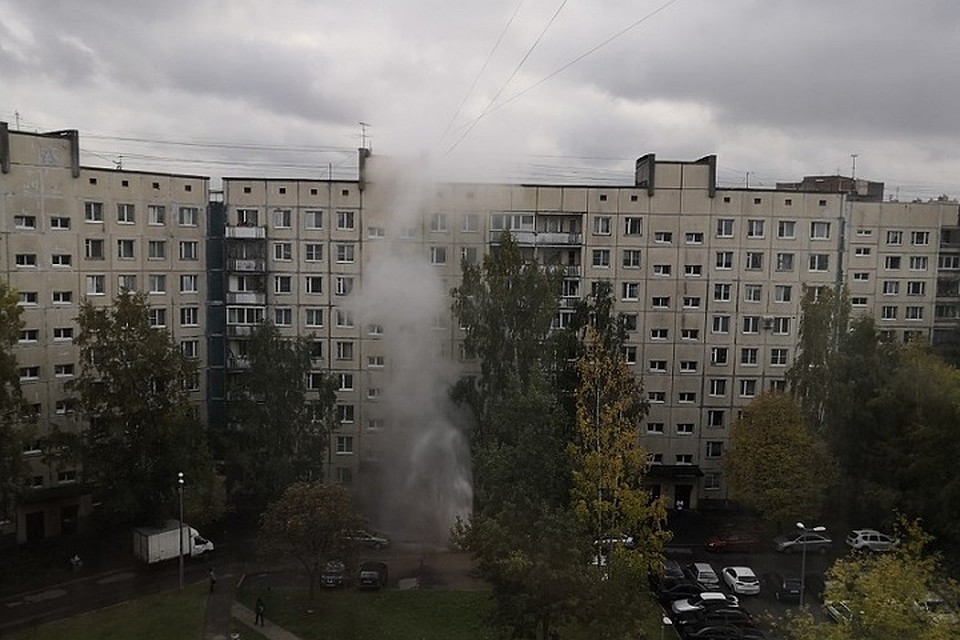 Фонтан с водой вырвался из трубы у дома на улице Жени Егоровой в Петербурге