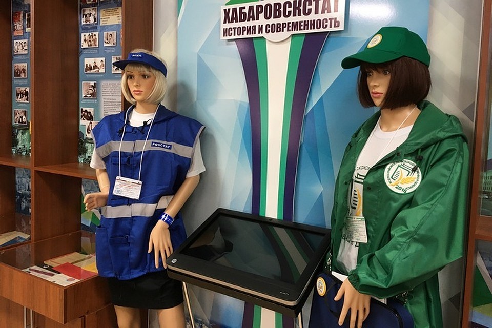 Первая электронная, последняя бумажная: в Хабаровскстате рассказали, как будет проходить перепись населения в 2020 году