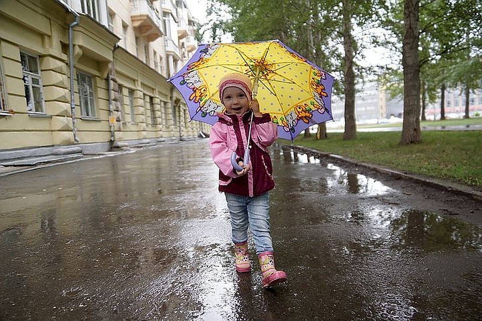Жителей Коми ждут продолжительные дожди