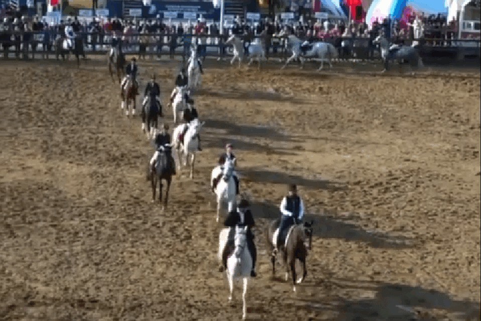 Конные соревнования памяти Арины Тесленко прошли в Кузбассе. ФОТО: кадр видео АКО