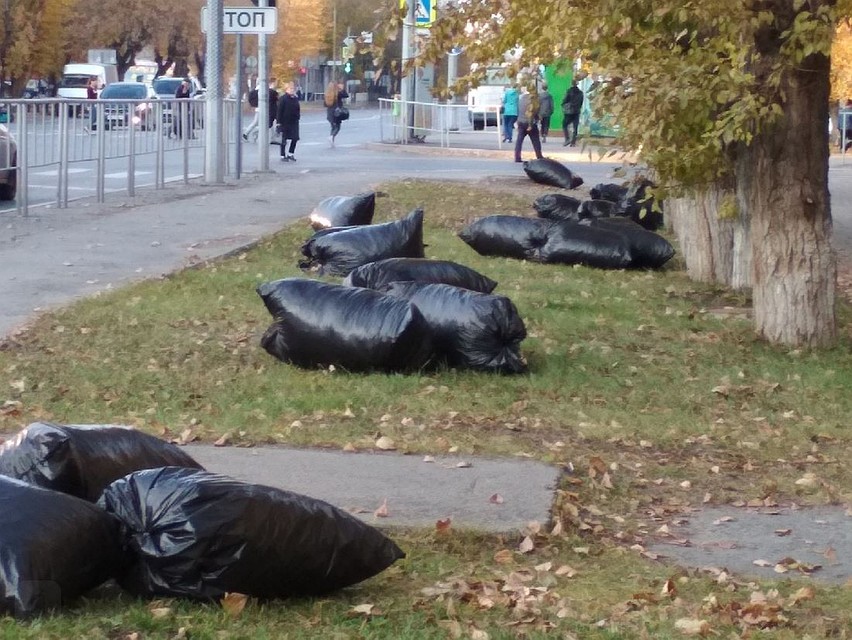 Тюменцы прибрались на улицах города. Фото - пресс-службы администрации города Тюмени.