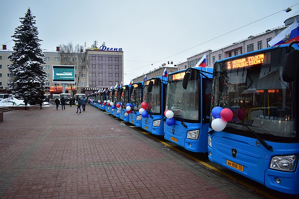 Фото: Денис Рогов.