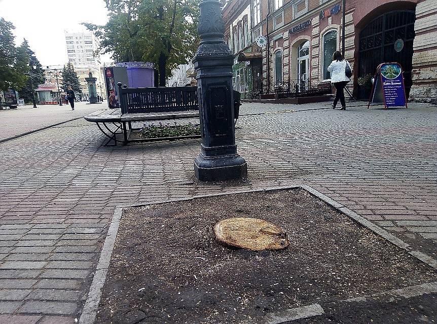 Следы преступного отношения человека к природе. Фото: "Гражданский патруль"
