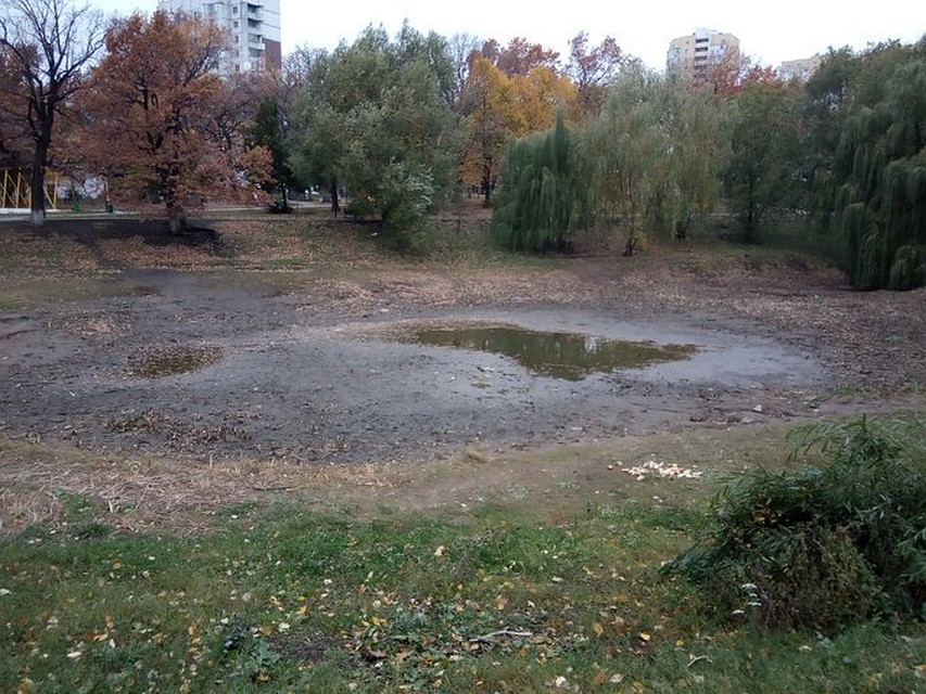 От озера в сквере Дубовый колок осталась небольшая лужа