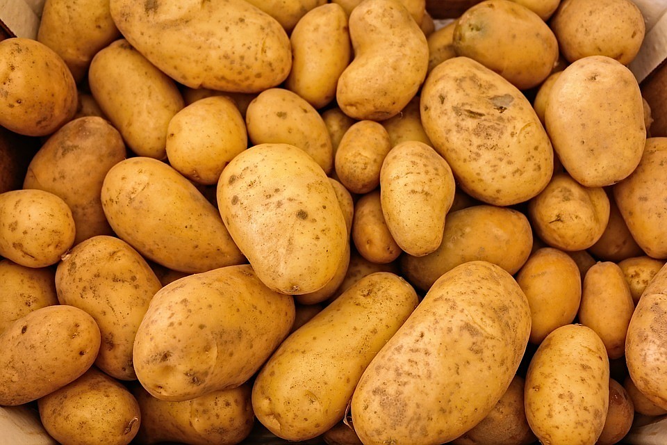 Продукция тюменского завода – в составе стенда Картофельного союза России на выставке «Золотая осень»