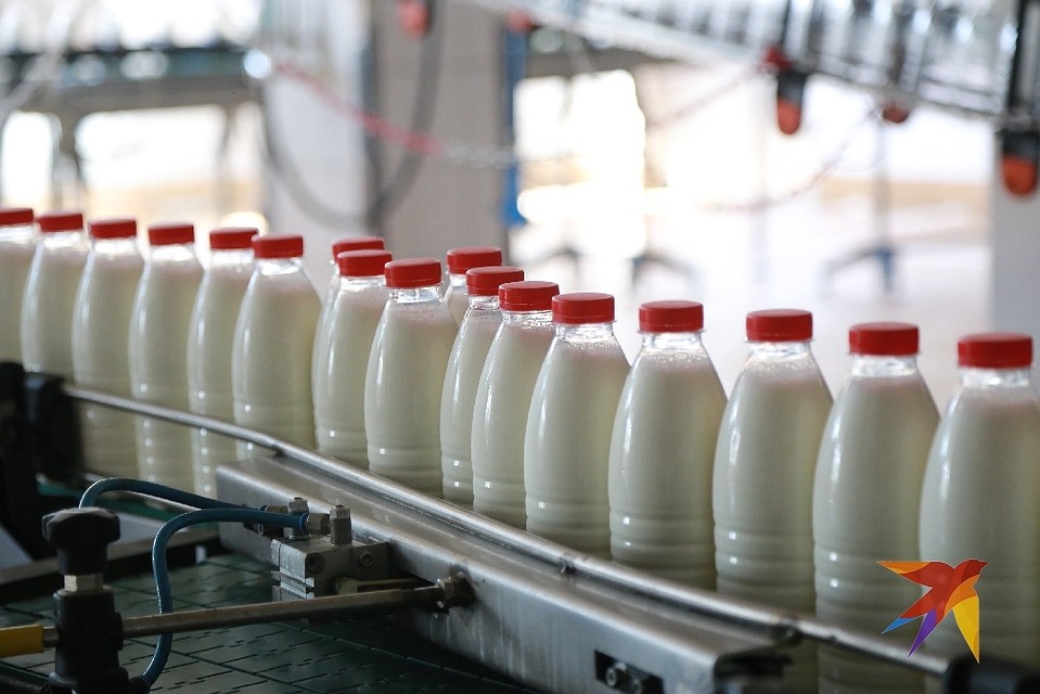 Рязанцев предупредили о белорусских продуктах с бактериями.