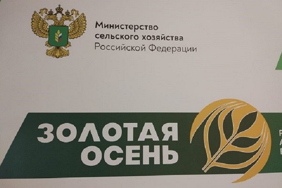 В настоящий момент ярославские продукты питания экспортируются в более чем 20 стран.