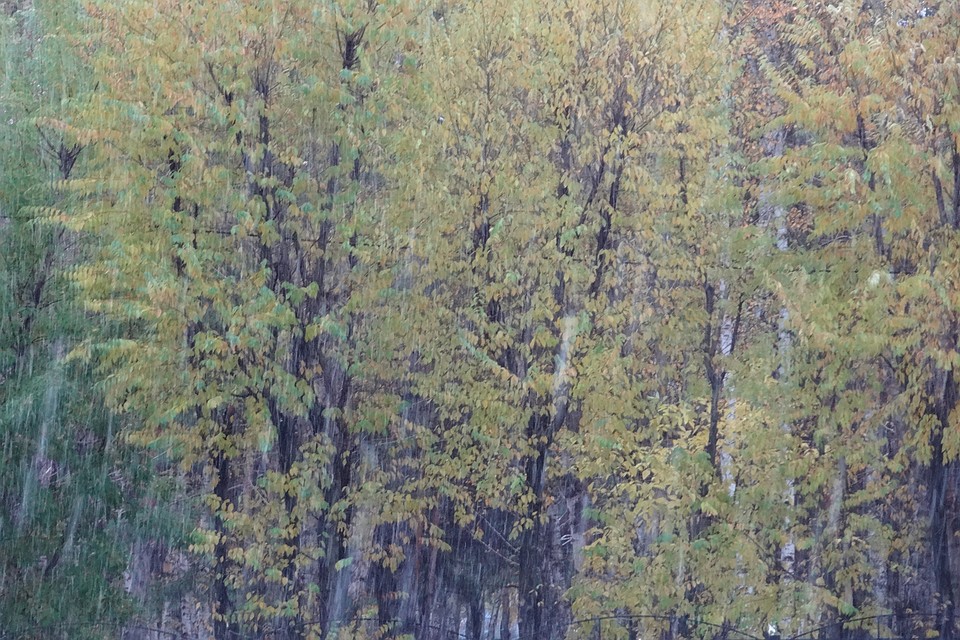 Погода на Ямале 12 октября: днём до +5