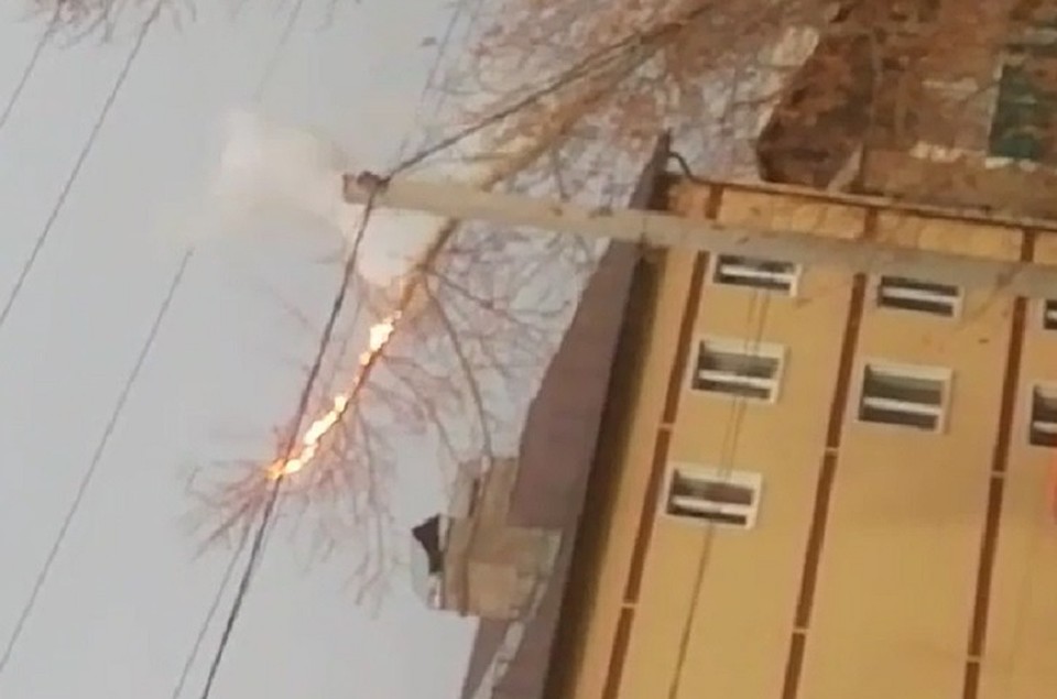 Из-за упавшего дерева вспыхнули электропровода. Фото: Кадр из видео