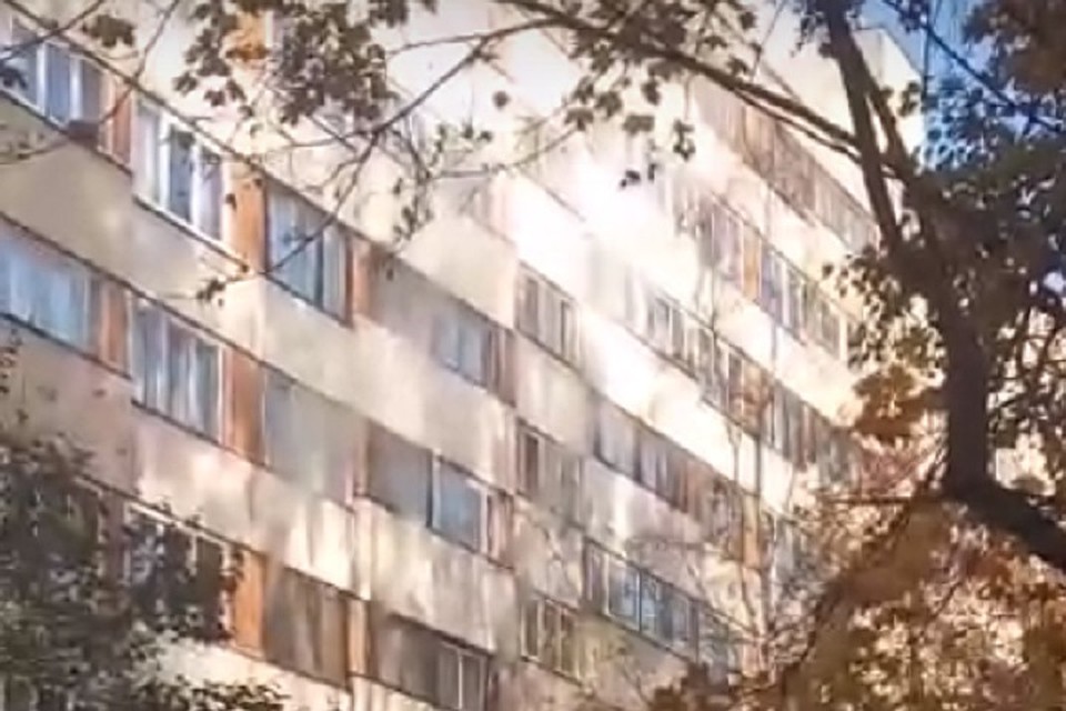 В пожаре на Светлановском погиб мужчина и несколько кошек