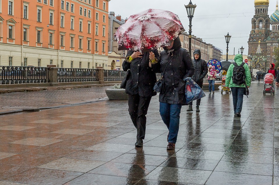 В понедельник в Петербурге будет пасмурно.