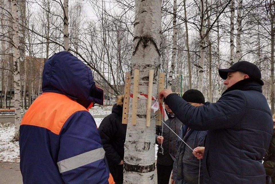 В Нижневартовске горожане смастерили для птиц 450 скворечников. Фото с сайта администрации города Нижневартовск