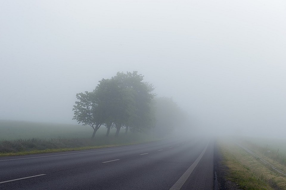 Беларусь накроет туманами. Фото: pixabay.com.