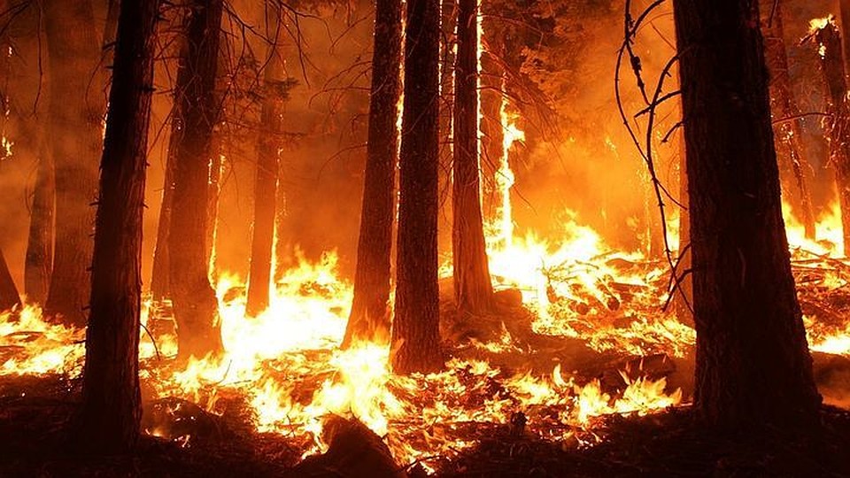 24 октября в Приморье зарегистрировано 29 термических аномалий