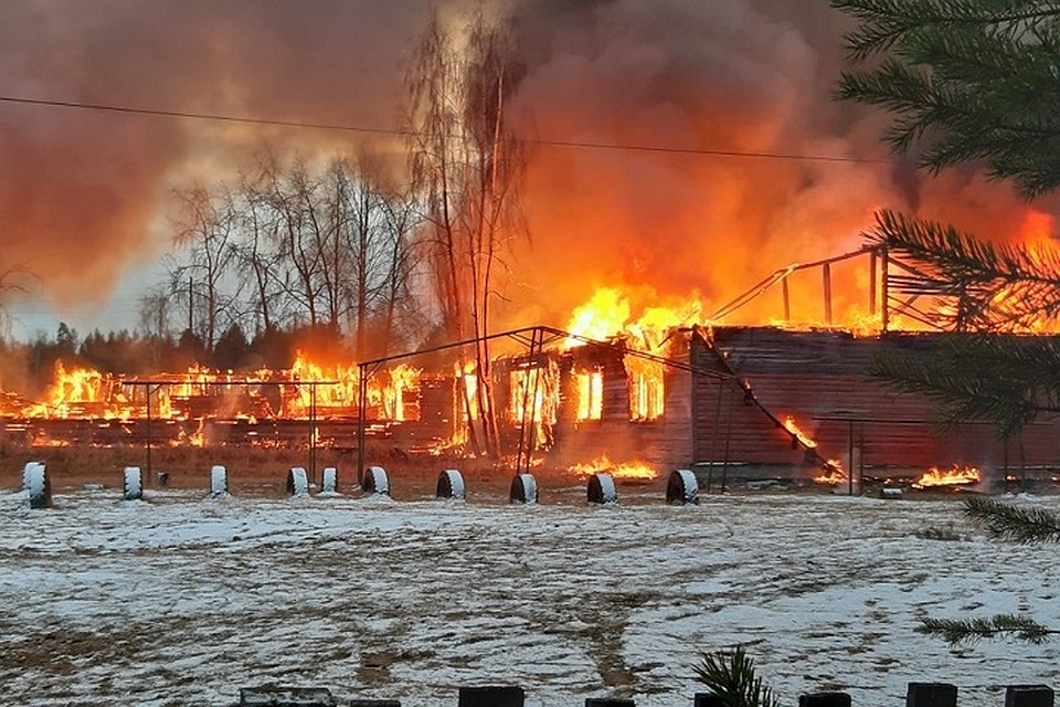 В Карельском поселке Луусалми сгорели школа и детский садик. Фото: vk.com/club18625908