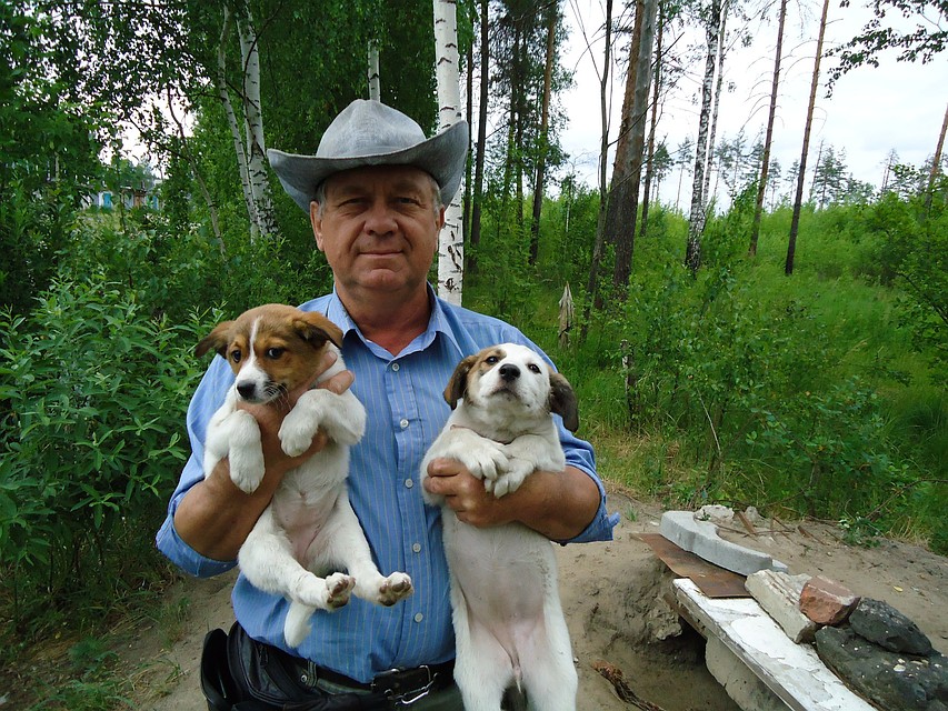 Николай Смотров