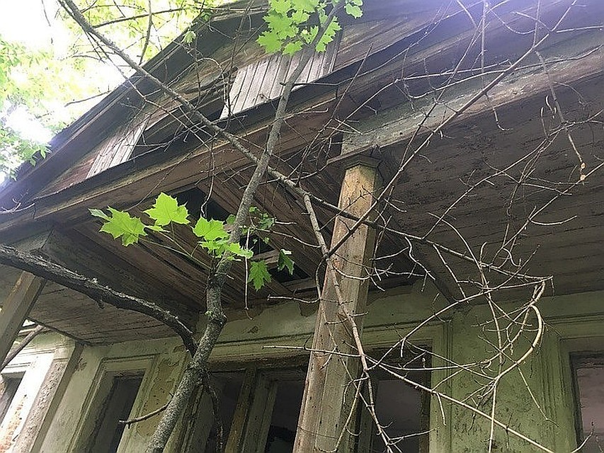 Долгое время за домом никто не следил.