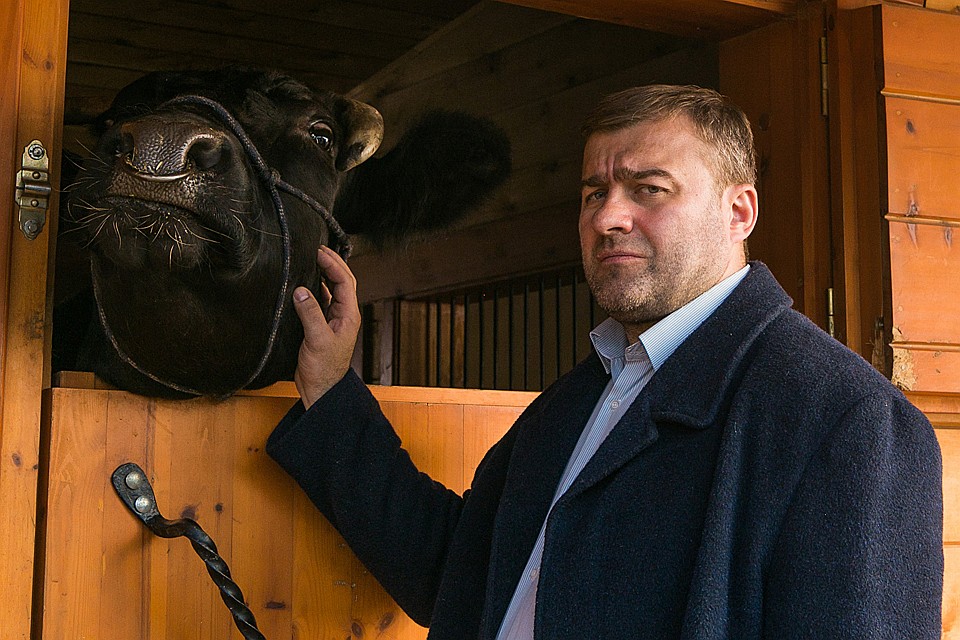 Когда приезжает в сериалах Пореченков, проблемы только множатся