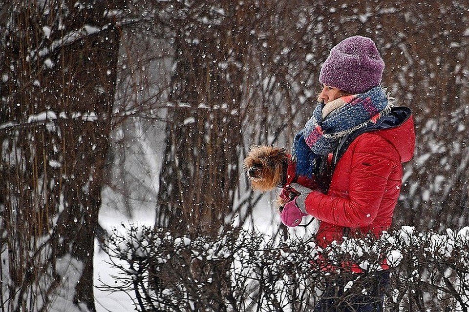 И +16, и метель: какая погода ждет кузбассовцев в первые выходные ноября