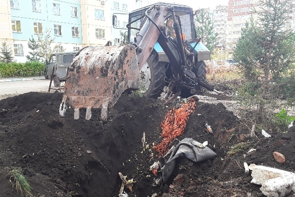 Фото: пресс-служба минэкологии Татарстана