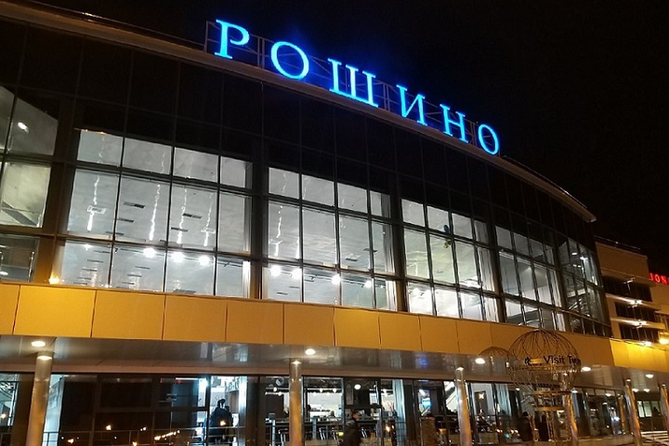 Причиной экстренной посадки самолёта в Тюмени стало попадание птицы в двигатель