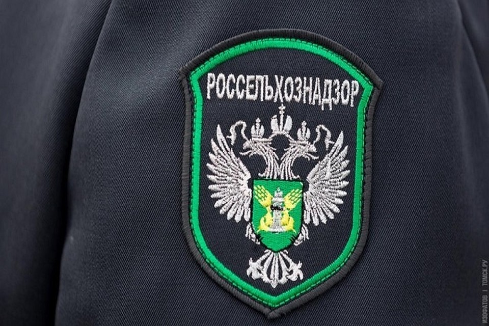 Россельхознадзор не пустил в Россию подозрительное мясо (Фото: riastrela.ru).