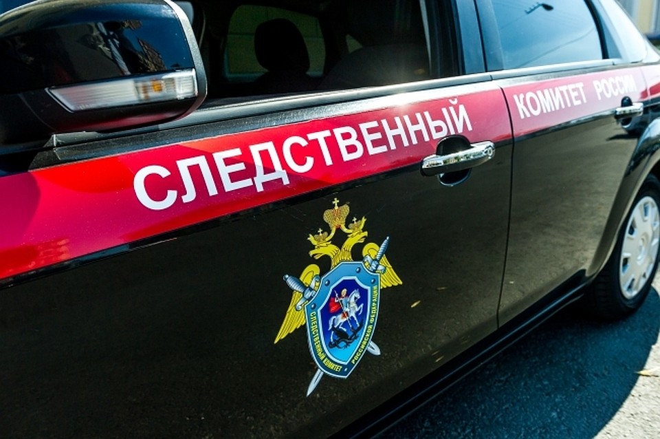 Следователи в Хабаровске выясняют, почему пропавшая девочка отказывалась вернуться домой