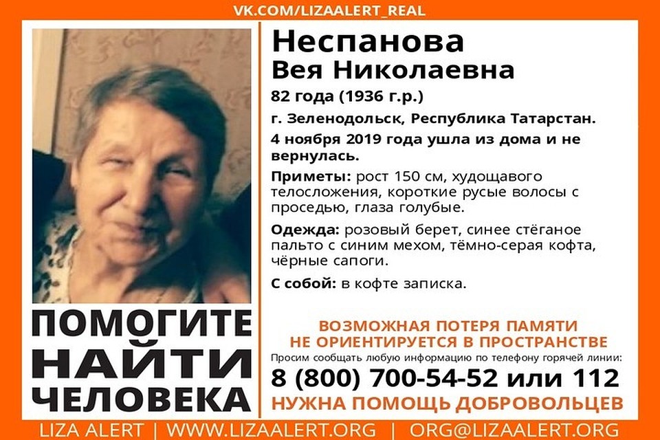 Фото: ПСО "Лиза Алерт"