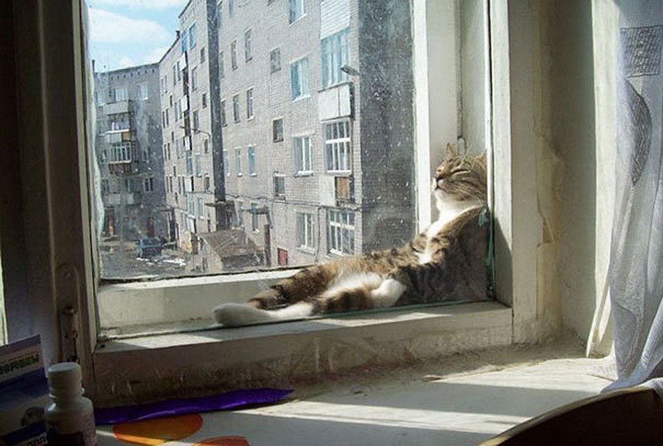 Неужели в Молдове снова наступает лето? Фото: pandaznaet.ru
