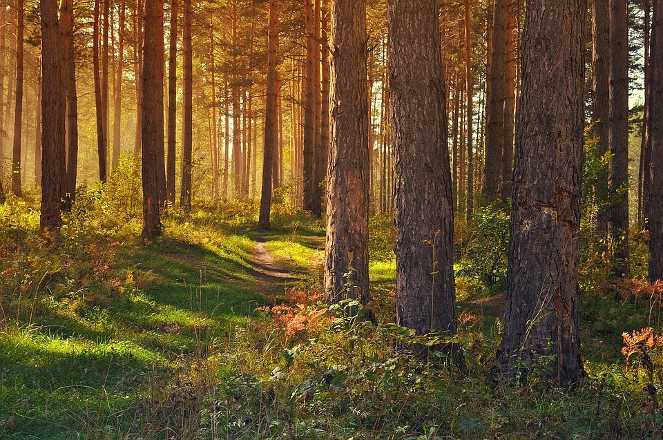 Осеннее тепло