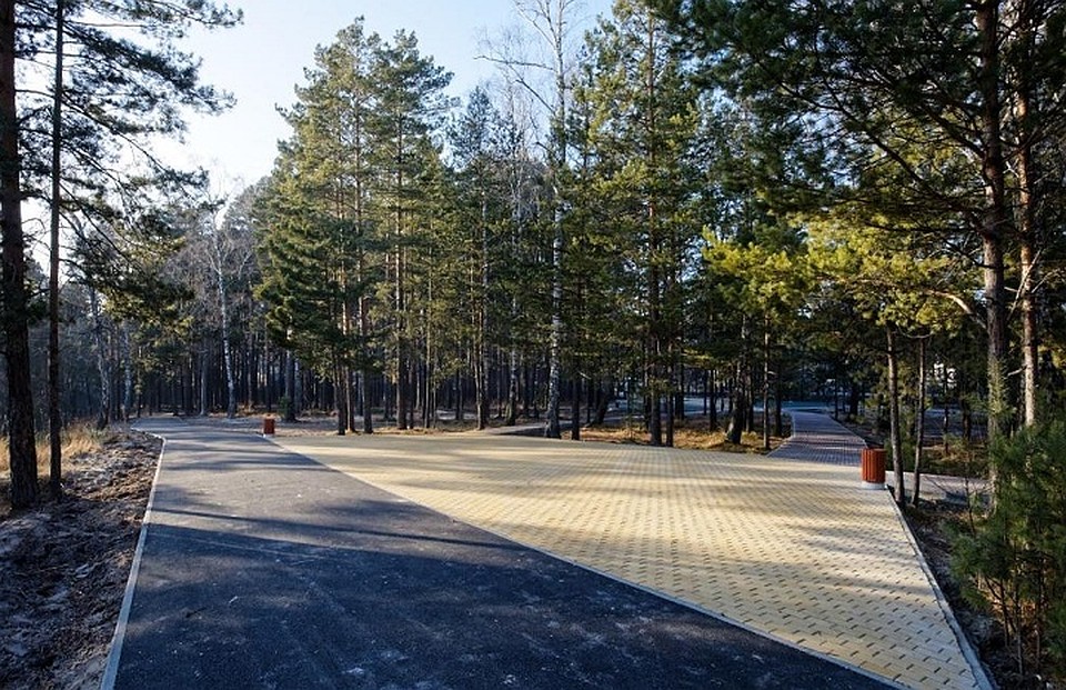 Проект получил много благодарностей от жителей. Фото: admin.tomsk.ru