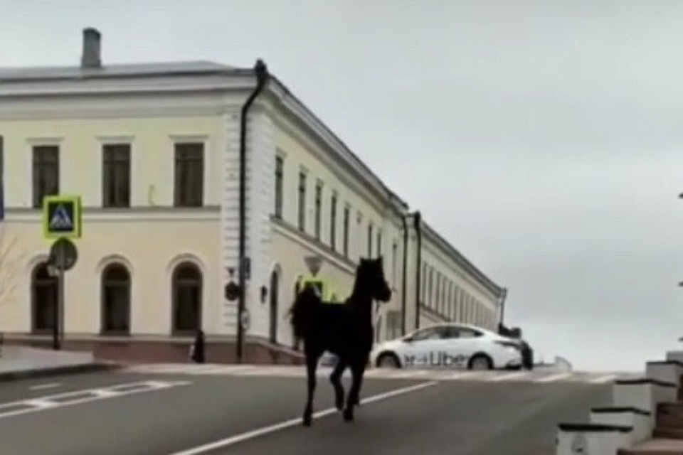 Фото: скриншот