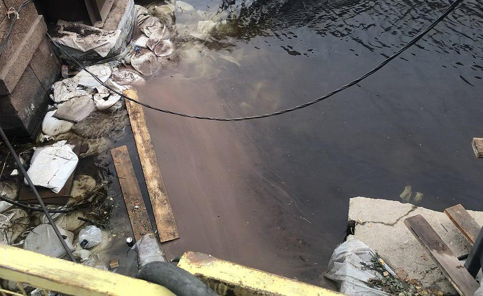 Грязь попала в воду из-за нарушений при реконструкции Зеленого моста. Фото: 78.rpn.gov.ru