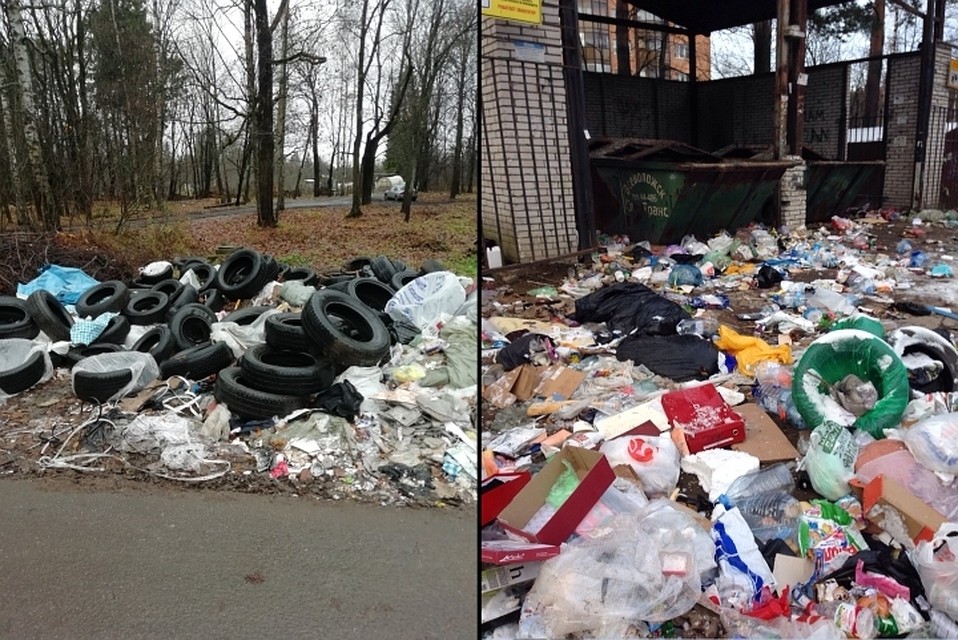 В некоторых дворах через мусор приходится перешагивать. Фото: vk.com/vsevolozhsk_vk