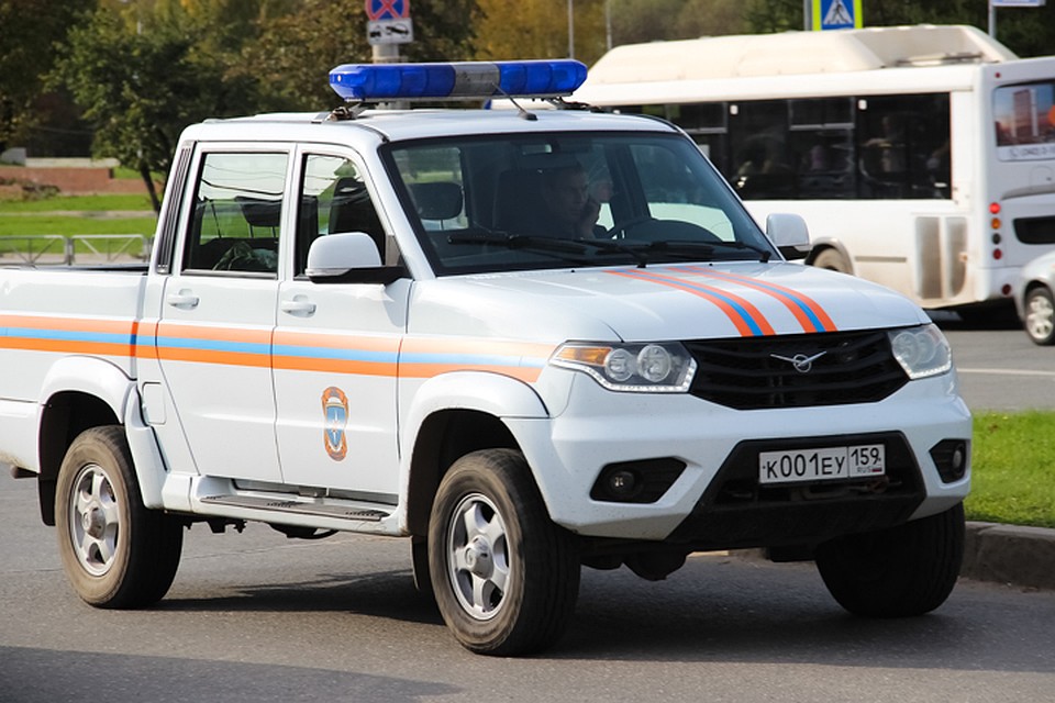 Выловить собаку помогли спасатели.