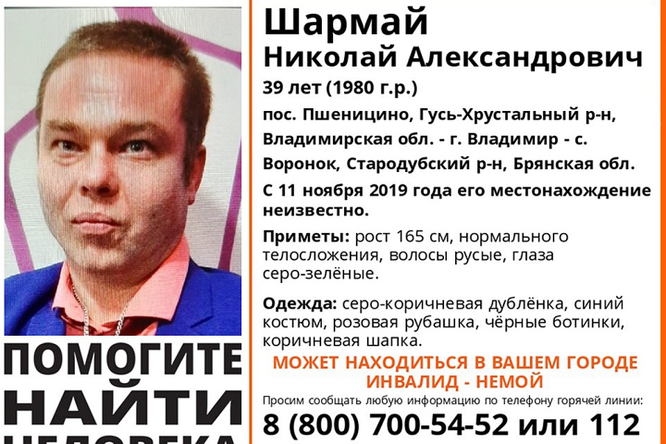 Фото: vk.сom, поисковый отряд "Лиза Алерт"