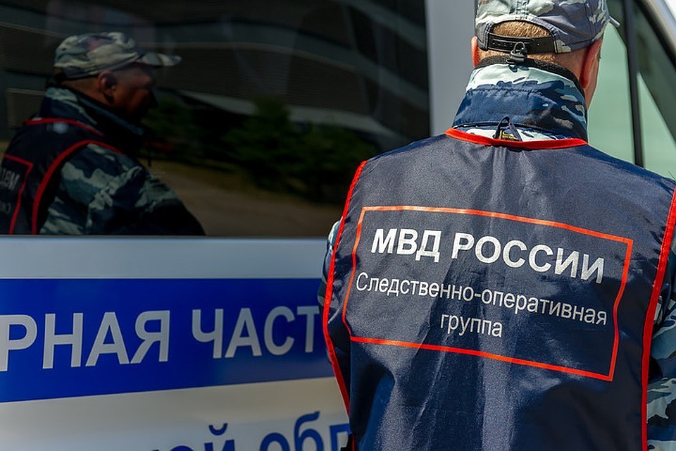 Полицейские проводят проверку