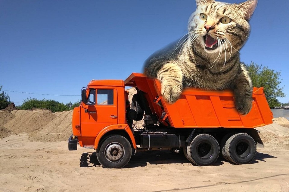 Большие коты для больших машин. Фото: kamaz_official.