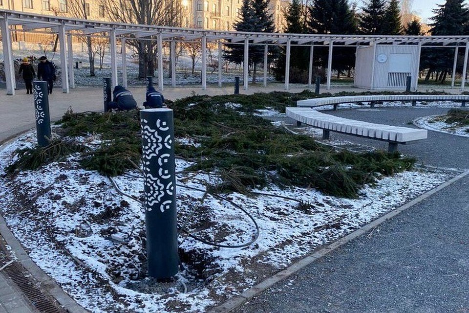Фото: пресс-служба Дирекции парков и скверов Казани