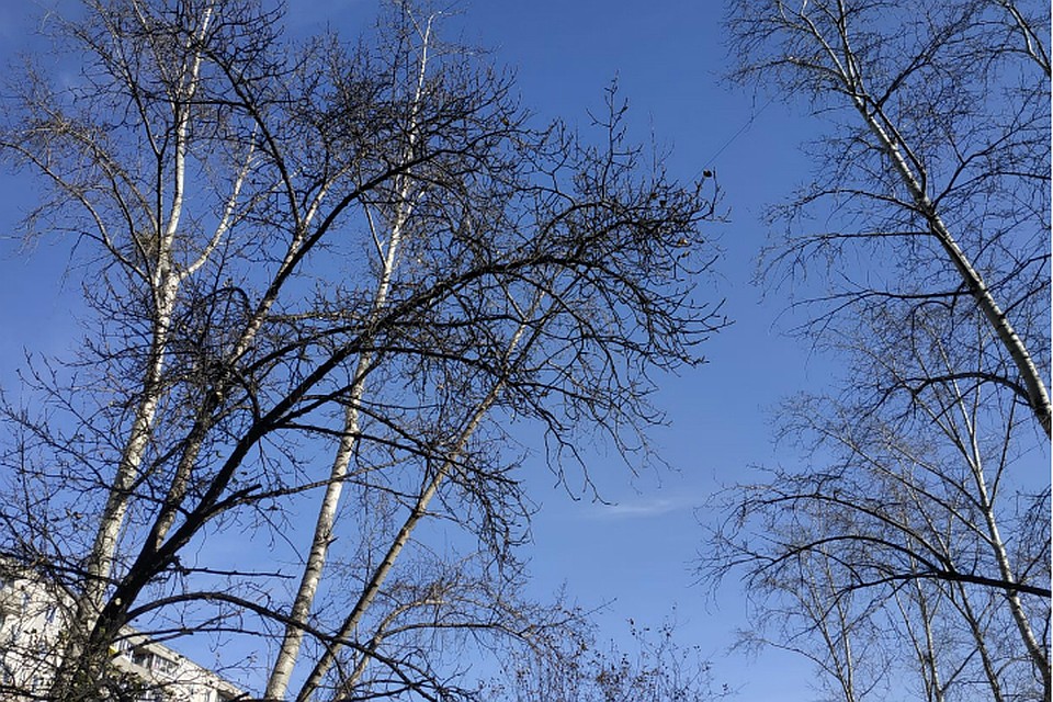 Погода в Хабаровске на 22 ноября 2019 года: днем до -7, без осадков