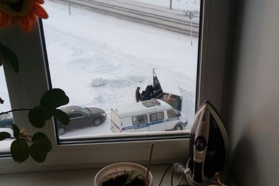Мужчину с расчлененным телом в пакете задержали возле мусорного бака в Кузбассе. ФОТО: vk.com, "Шепот улиц Белово"