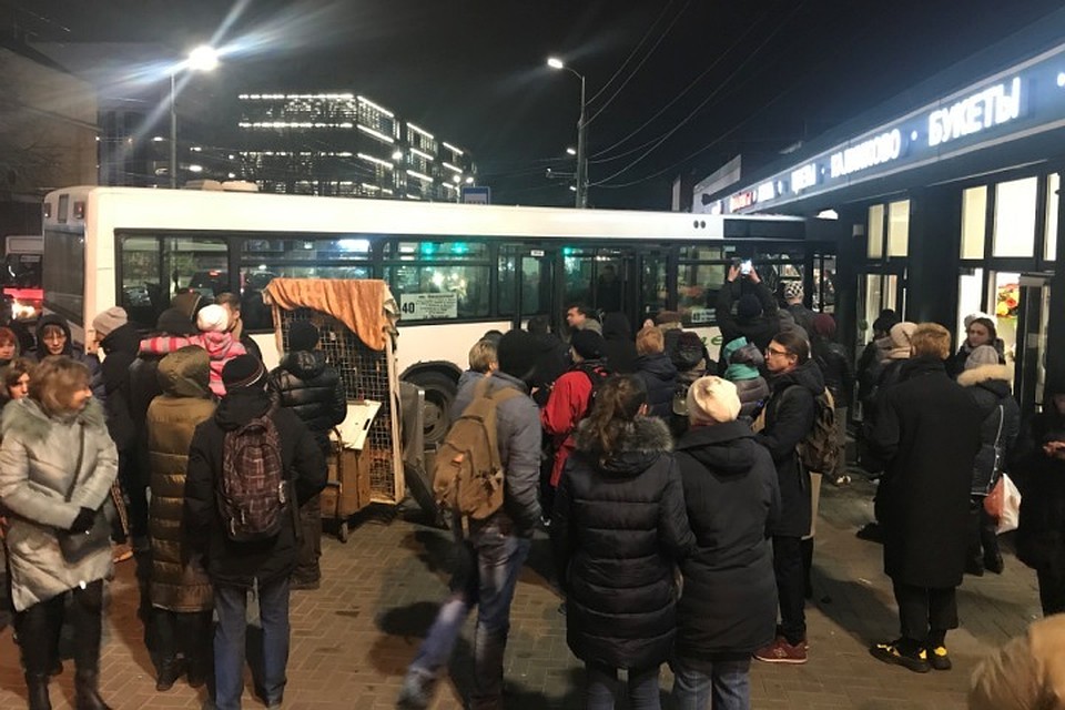 На полном ходу автобус въехал в цветочный павильон.