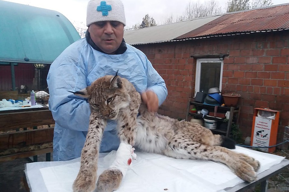 Карен Даллакян летит в Крым.