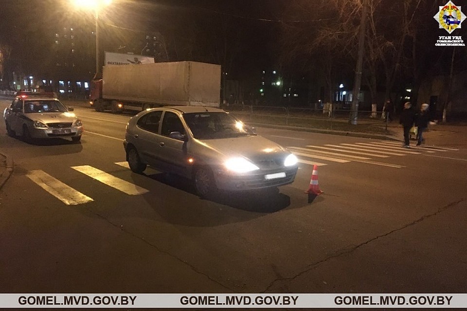 Мама с маленькой дочкой попали под колеса легковушки. Фото: УВД Гомельского облисполкома.