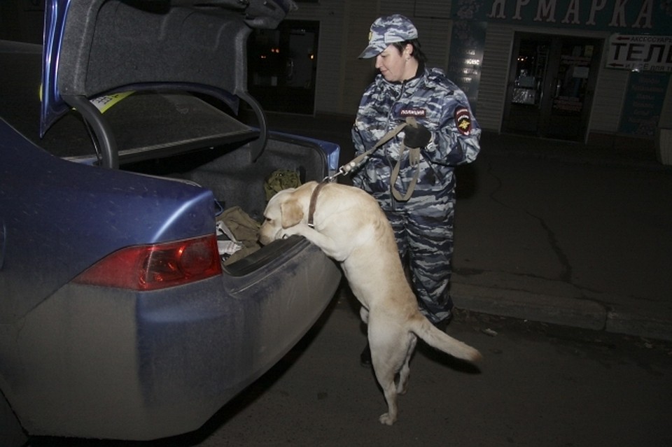 Взяточников поймали коллеги.