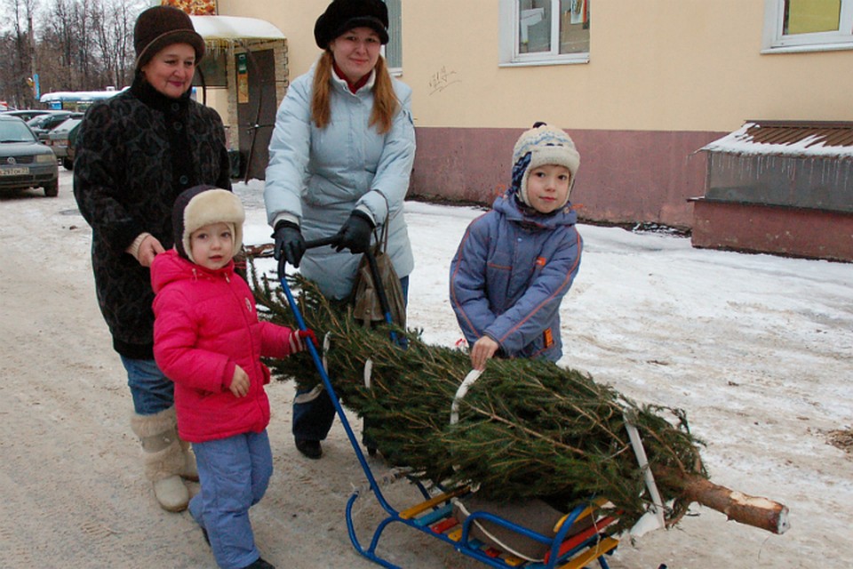 В Омске открылись 76 елочных базаров.