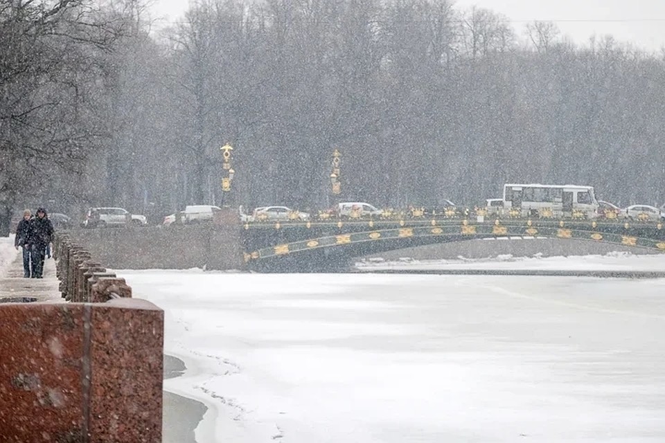 1 декабря петербуржцам стоит опасаться гололеда и сильного ветра.