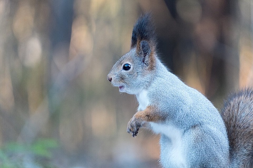 Фото: foto-belok.livejournal.com