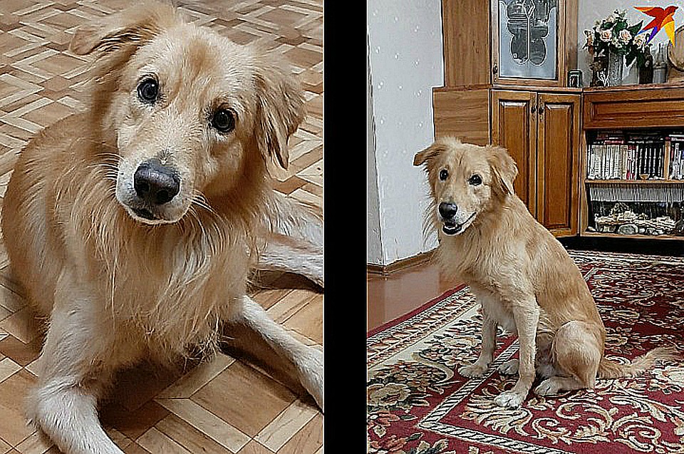 Вот этот красавчик остался совсем один