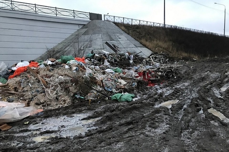 В Невском районе Петербурга нашли огромную незаконную свалку / Фото: "Зеленый Фронт"